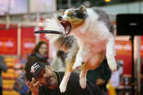 Các bài tập thể dục cho người già Các bài tập thể dục cho người già