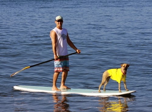 Các bài tập thể dục cho người già Các bài tập thể dục cho người già