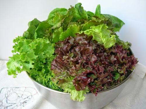 Chia sẻ 8 loại rau quả có trong thực đơn giảm cân Chia sẻ 8 loại rau quả có trong thực đơn giảm cân