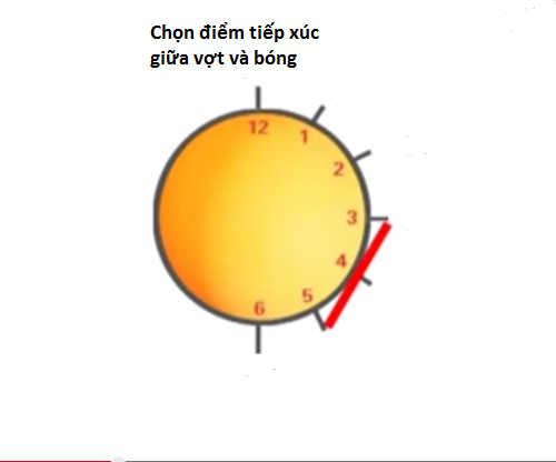 kỹ thuật giao bóng bàn kỹ thuật giao bóng bàn