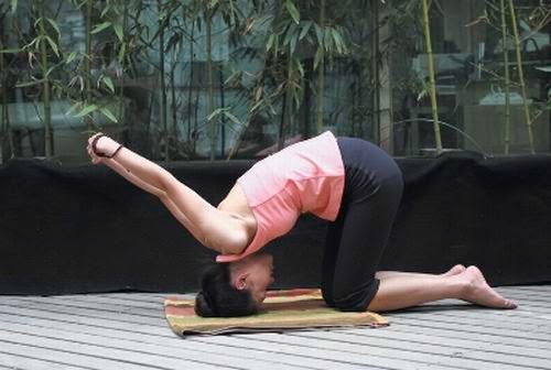 bài tập thể dục giảm cân tại nhà bài tập thể dục giảm cân tại nhà