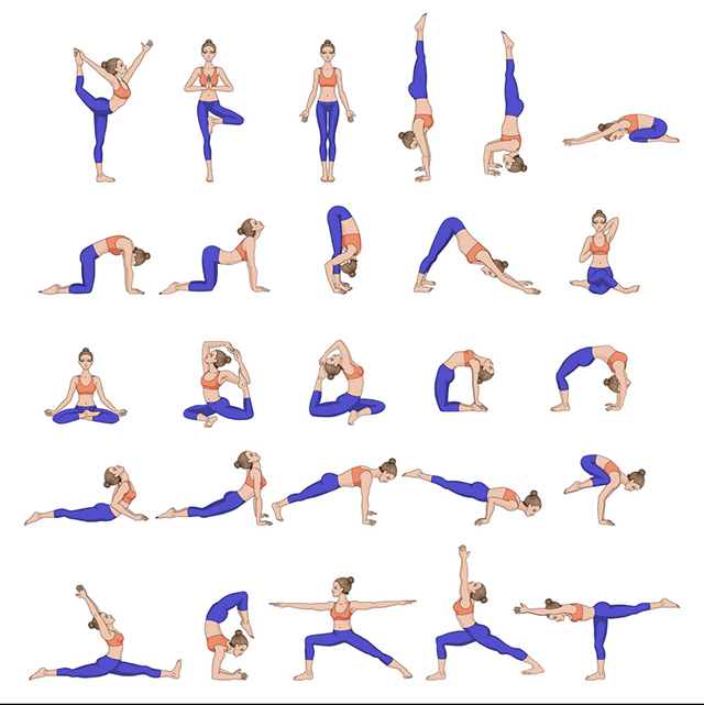 mot-so-tu-the-yoga-co-ban-giup-ban-giam-can-1